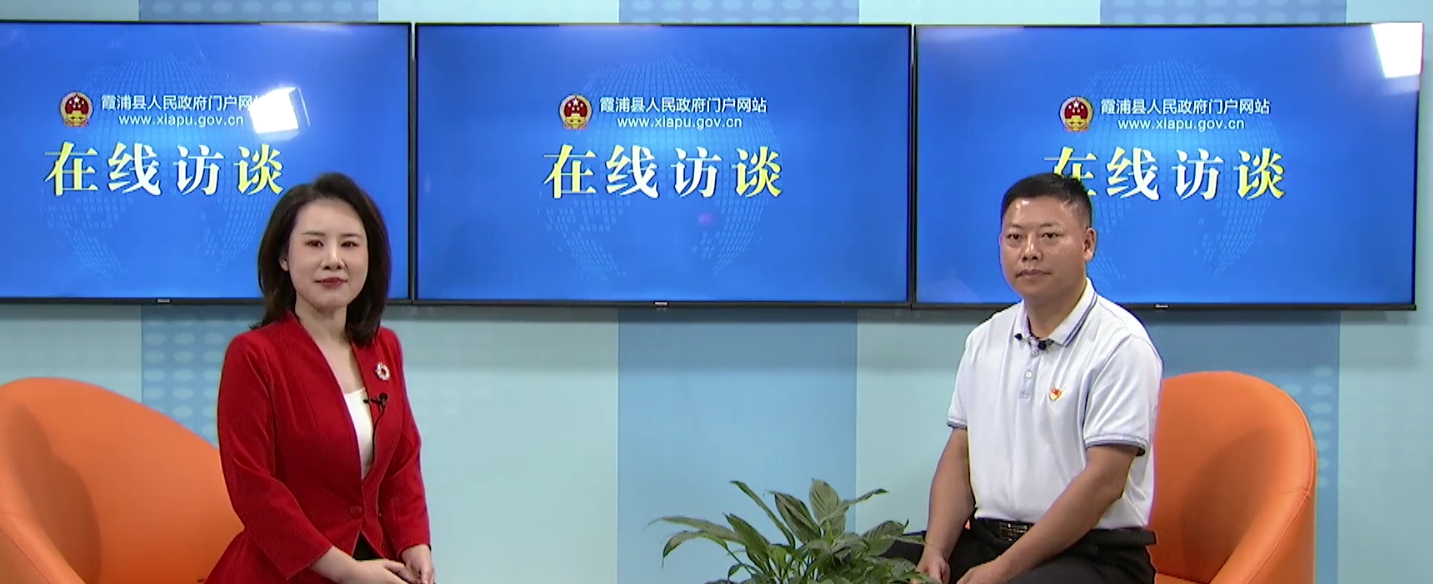 霞浦新能源产业发展现状及前景