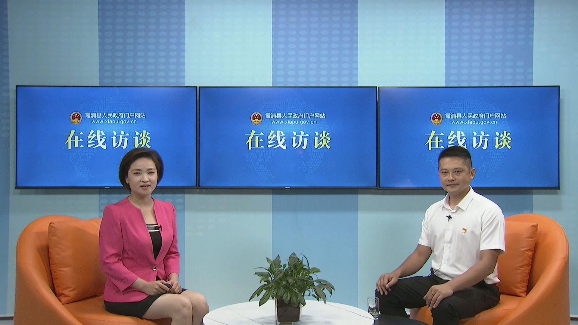 粮食生产政策解读