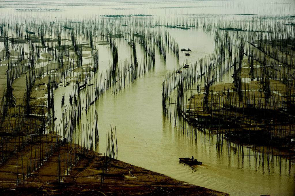 霞浦沙江大S湾
